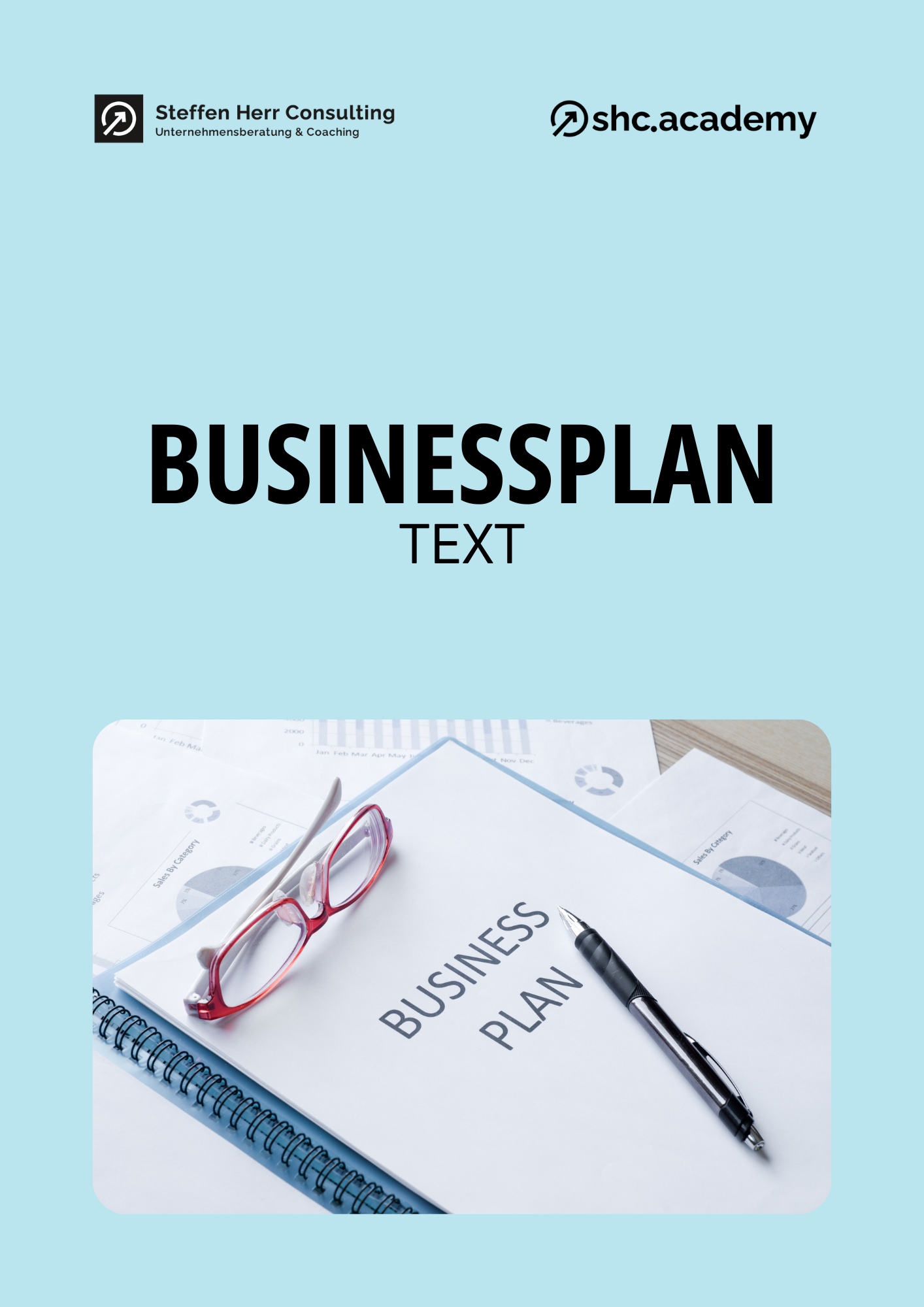 shc_shop_produktbild_businessplan_textteil